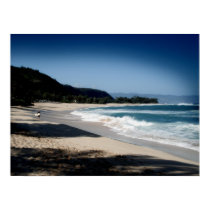 North Shore, Oahu posters