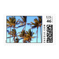North Shore Palms postage by mrulon23 North Shore Palms postage