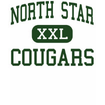 North Star - Cougars - High - Boswell Pennsylvania t-shirts