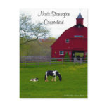North Stonington, Connecticut Postcard