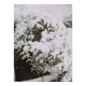 North Texas Winter Scene 2 posters by Harrington_Studios North Texas Winter Scene 2 posters