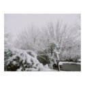North Texas Winter Scene 3 posters by Harrington_Studios North Texas Winter Scene 3 posters