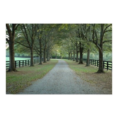 North Valley Road in the Fall Posters by dru_satori