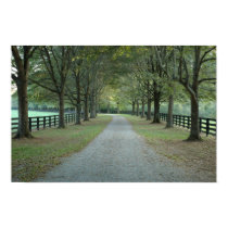 North Valley Road in the Fall posters