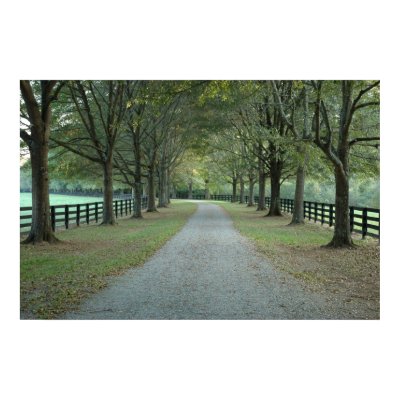 North Valley Road in the Fall Poster by dru_satori