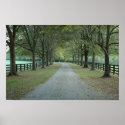 North Valley Road in the Fall posters