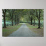 North Valley Road in the Fall Posters