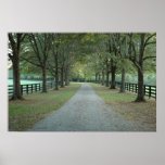 North Valley Road in the Fall Poster