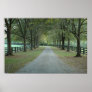 North Valley Road in the Fall Poster