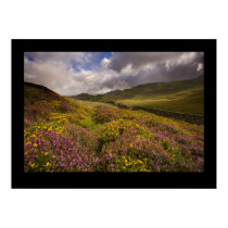 North Wales, near Cregannan posters