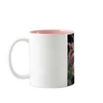 North Wind Dancer mugs by bamagirltee North Wind Dancer mugs