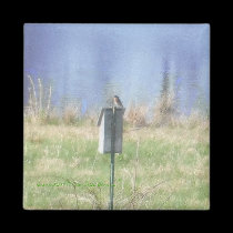 Northeast Bluebird magnets by DianasMoon Northeast Bluebird magnets