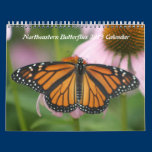 Northeastern Butterflies 2013 Calendar calendars