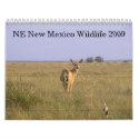 Northeastern New Mexico Wildlife 2009 calendars by StormShooter Northeastern New Mexico Wildlife 2009 calendars