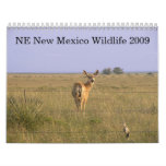 Northeastern New Mexico Wildlife 2009