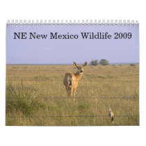Northeastern New Mexico Wildlife 2009 calendars