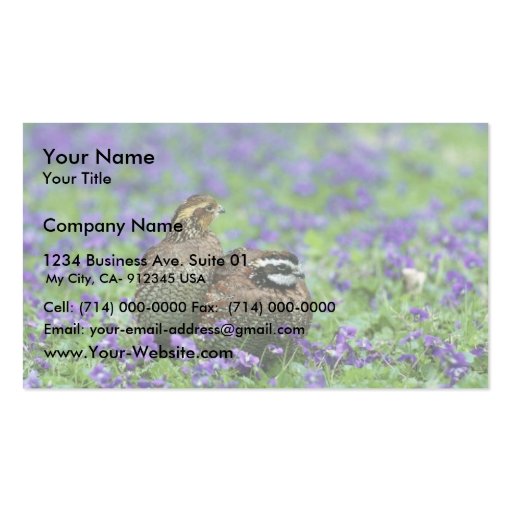 Northern bobwhite quail business card templates (front side)