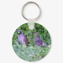 Northern Bobwhite Quail keychains by Russ45 Northern Bobwhite Quail keychains