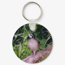 Northern Bobwhite Quail keychains