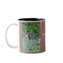 Northern Bobwhite Quail mugs by Russ45 Northern Bobwhite Quail mugs