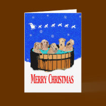 NORTHERN CALIFORNIA CHRISTMAS cards