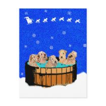 NORTHERN CALIFORNIA CHRISTMAS postcards