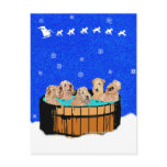 NORTHERN CALIFORNIA CHRISTMAS POSTCARD