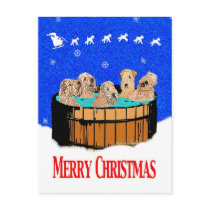 NORTHERN CALIFORNIA MERRY CHRISTMAS postcards