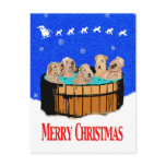 NORTHERN CALIFORNIA MERRY CHRISTMAS POST CARD