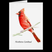 Northern Cardinal cards
