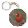 Northern Cardinal 2 Key Chains