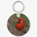Northern Cardinal 2 keychains