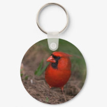 Northern Cardinal 2 keychains by crooster1 Northern Cardinal 2 keychains