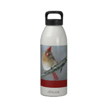Northern Cardinal Female Reusable Water Bottles