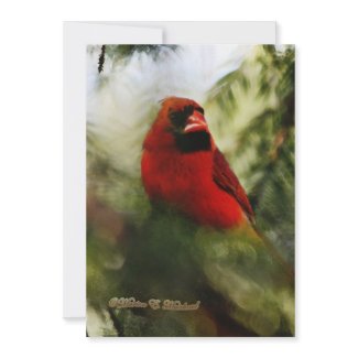 Northern Cardinal Invitation invitation