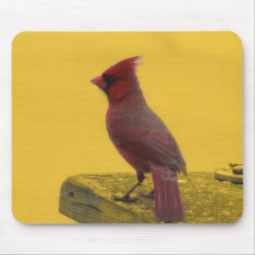 Northern Cardinal Mousepad mousepad