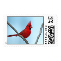 Northern Cardinal Stamp