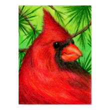 Northern Cardinal print