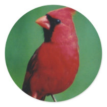 Northern Cardinal stickers