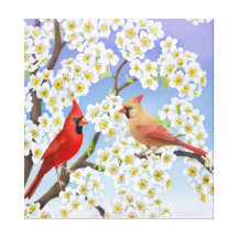 Northern Cardinals in Apple Blossoms Wrapped Canva Gallery Wrapped Canvas