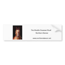 Northern Dancer...World's Greatest Stallion Bumper Stickers
