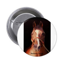 Northern Dancer...World's Greatest Stallion Pinback Button