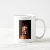 Northern Dancer...World's Greatest Stallion Mugs
