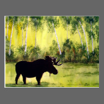 Northern Diary Postcard postcards