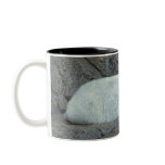 Northern Dreams Coffee Mugs