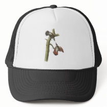 Northern Flicker, John Audubon Mesh Hats