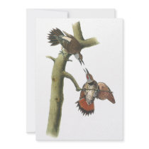 Northern Flicker, John Audubon Personalized Invites
