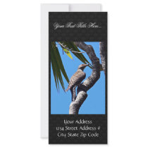 Northern flicker custom rack card