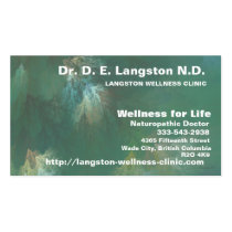 NORTHERN FOREST CANOPY business cards