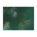 NORTHERN FOREST CANOPY postcards